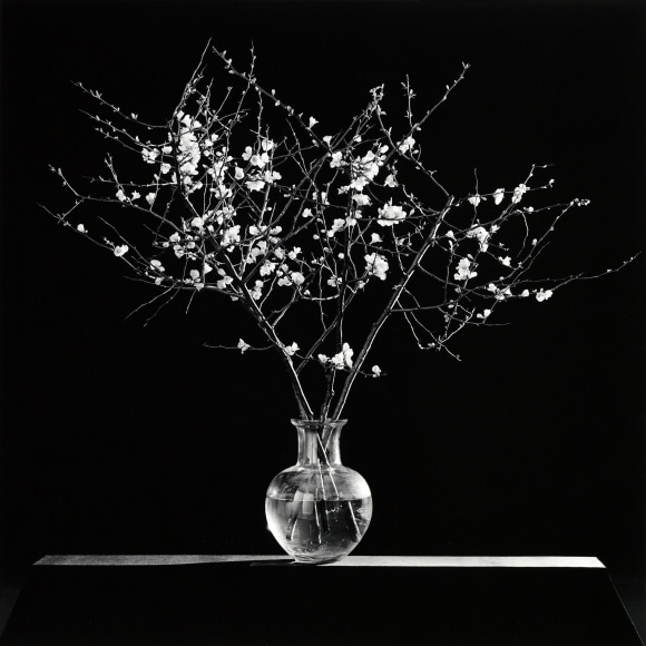 Bouquet of flowers in a vase.