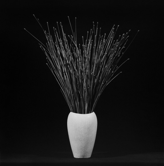 Flower, 1983