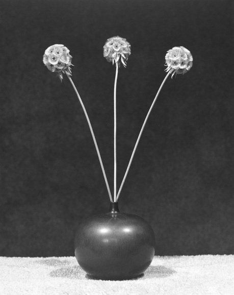 Three long-stemmed round flowers extending out of a short, wide black pottery vase sitting on a textured white cloth against a black background.