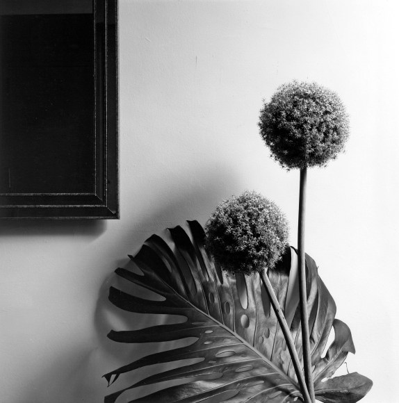 Flower arrangement in lower right corner and frame in upper left.