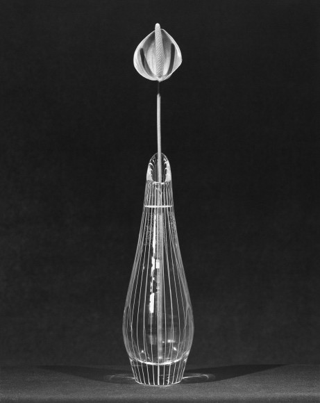 One calla lily centered in a curved, pinstriped vase against a dark background.