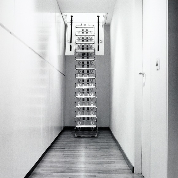 A hallway with stairs leading up to the ceiling.