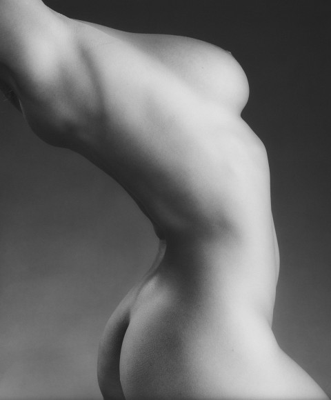 Nude woman's chest and torso twisting.