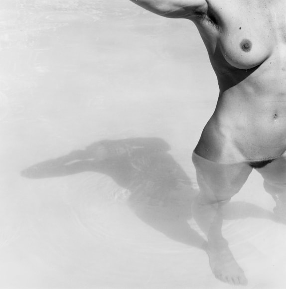 Lisa Lyon partially submerged underwater, nude.