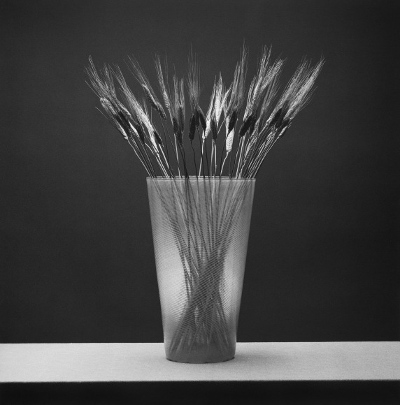 Wheat in vase, centered on table.