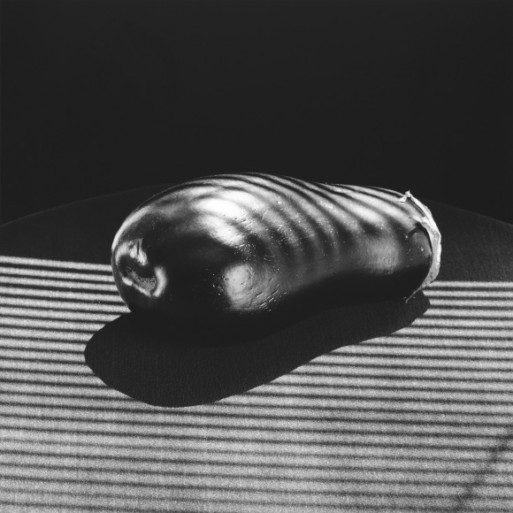 Eggplant laying on a cloth covered table with stripes of light beaming across it.