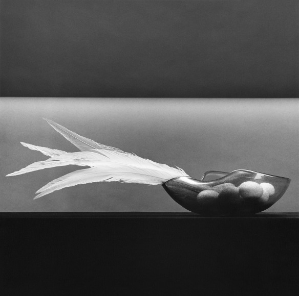 Feathers and Eggs, 1985