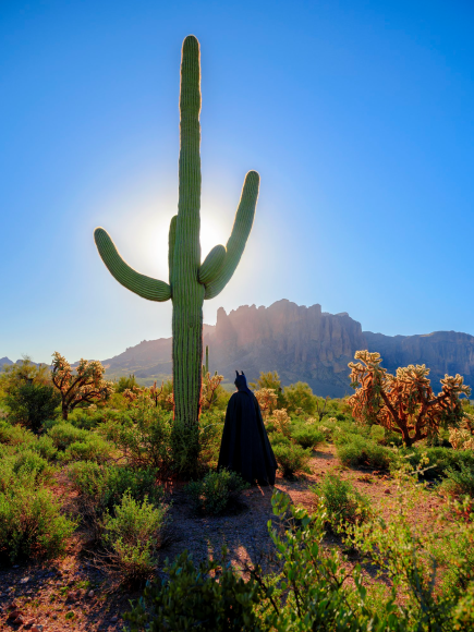 Sebastian Magnani, Bat Signal, 2022