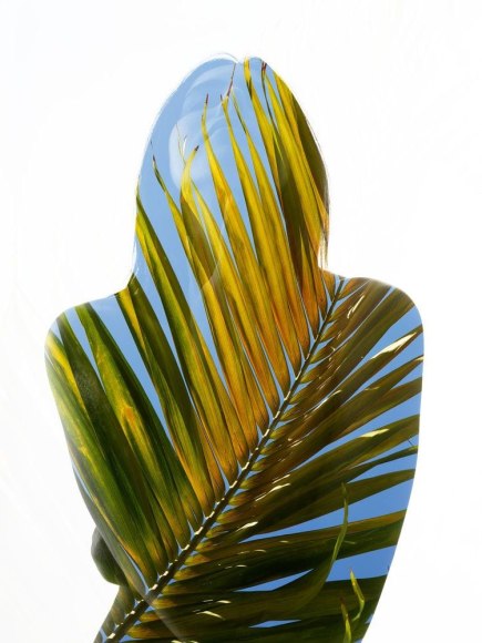 Nathan Coe Flaming Palm double exposure