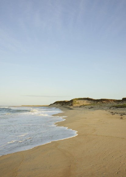 Nathan Coe, West Shore, 2020