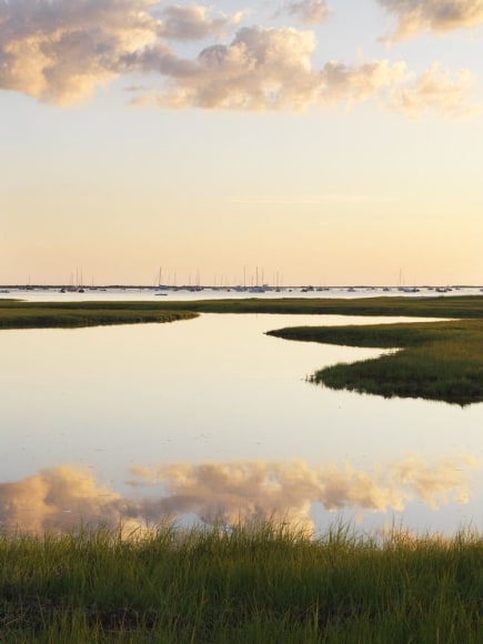 Nathan&nbsp;Coe The Creeks, 2015