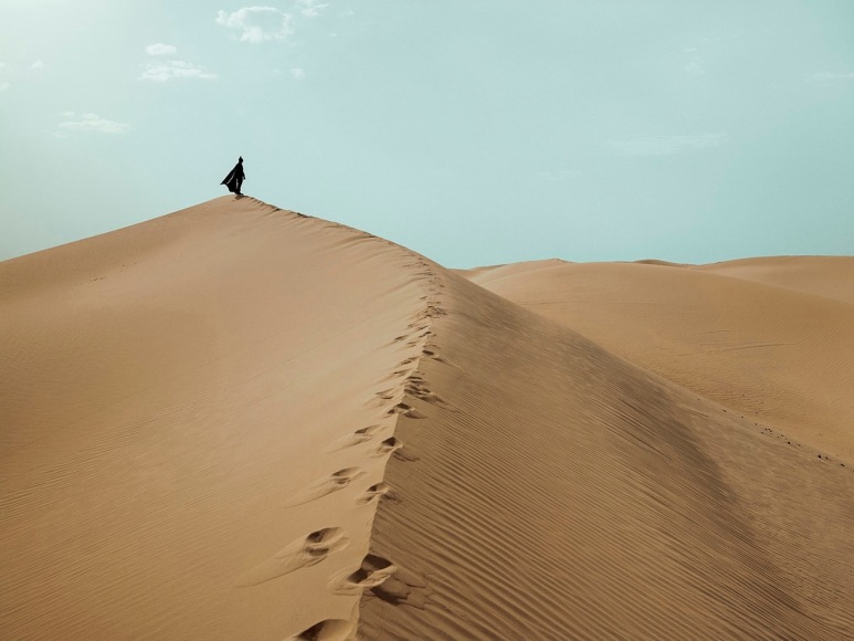 Sebastian Magnani, Enjoy the Journey, 2024