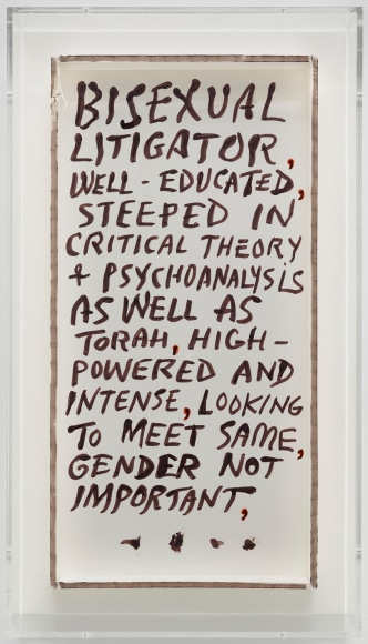 Seth Price, Bisexual Litigator&nbsp;
