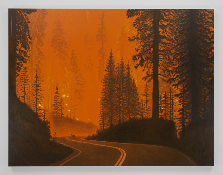 Sean Landers, Wildfire (Mendocino National Forest), 2022