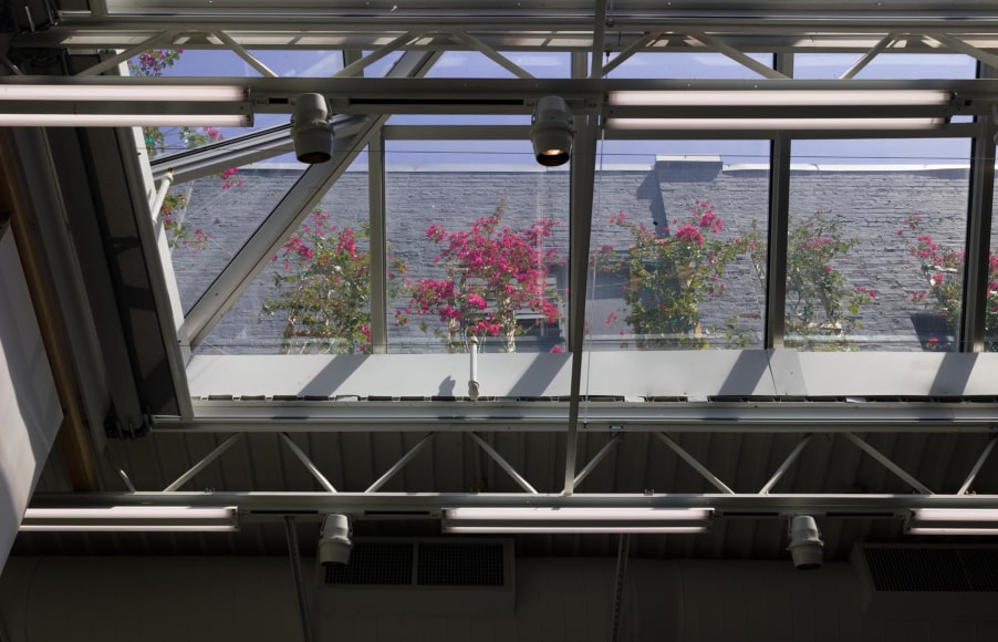 Stephen Prina galesburg, illinois+