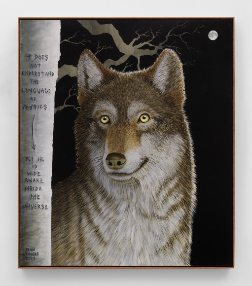 Sean Landers, Wide Awake