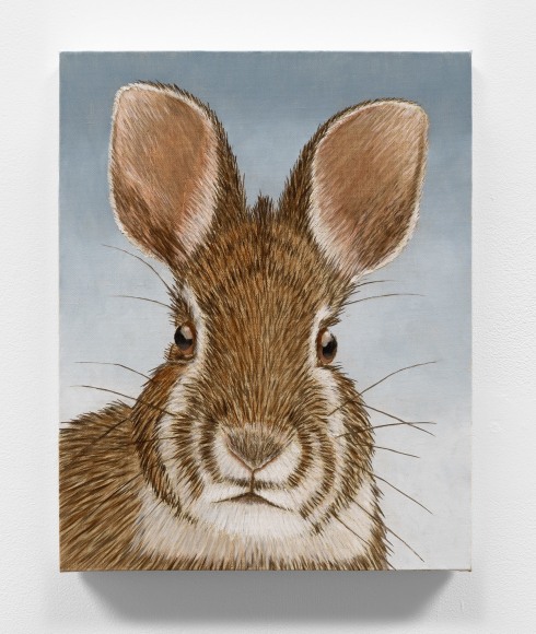 Sean Landers, Untitled Rabbit #7