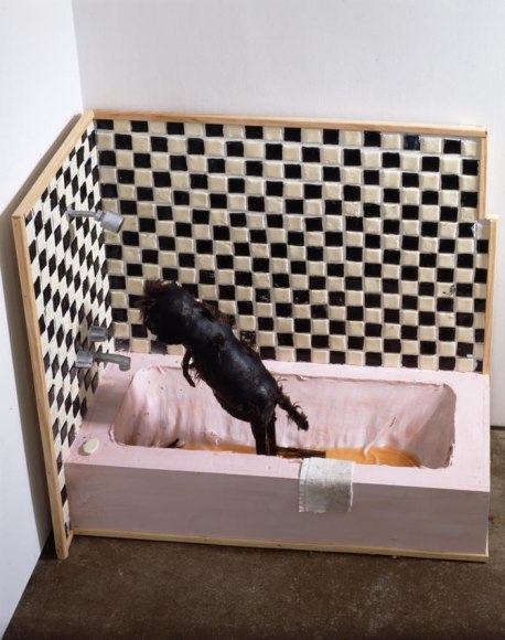 these are your last safe five seconds