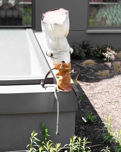 Jon Pylypchuk, And the world seemed almost conquerable