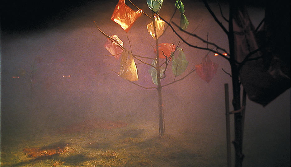 Credits... 2000 Video installation, 35 mm film transferred onto DVD