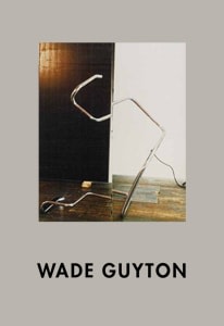 Wade Guyton