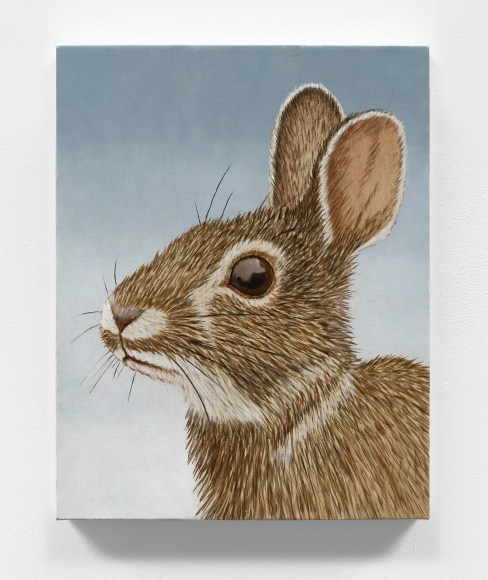 Sean Landers, Untitled Rabbit #8