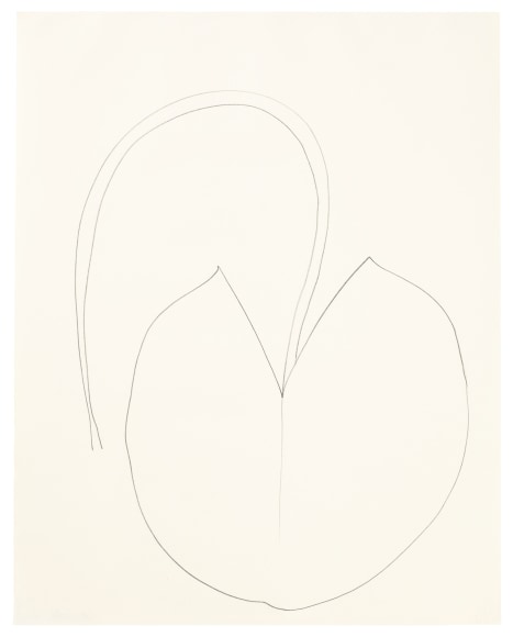 Ellsworth Kelly, Water lily