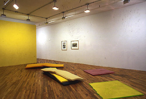 Hawaii Installation view