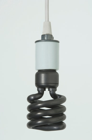 Adam McEwen, Energy Saving Bulb