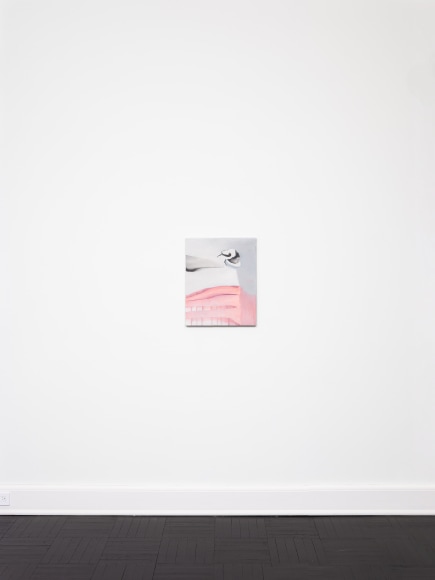 Installation view, Rezi van Lankveld, Soft Sun, Petzel, 2022