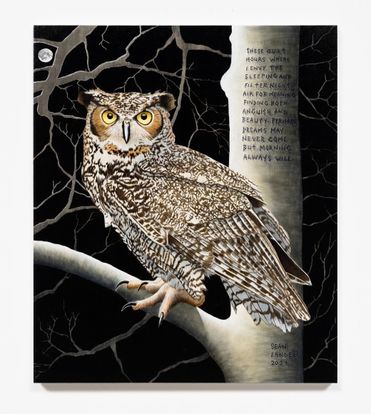 Sean Landers, Quiet Hours