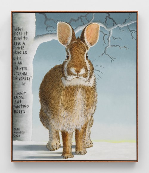 Sean Landers, Infinite Eternal