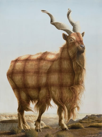 Sean Landers, Painted Desert (Markhor), 2015
