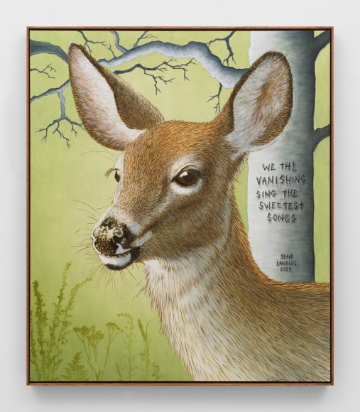 Sean Landers, Vanishing