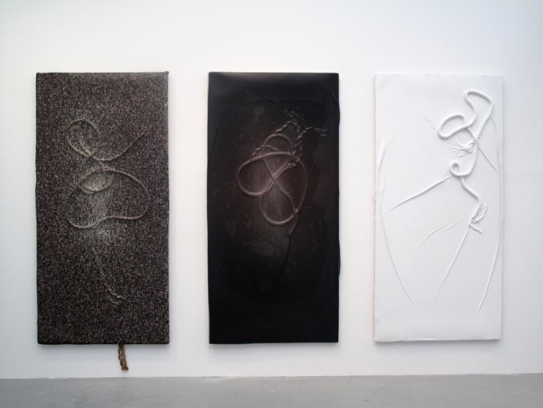 Seth Price Soft History