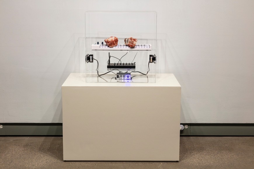 Nikita Gale, GRAVITY SOLO II (HYPERPERFORMANCE)