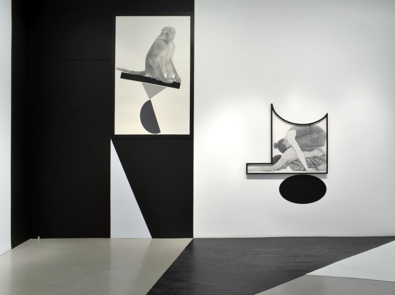 Karl Haendel - Organic Bedfellow, Feral Othello - Exhibitions ...