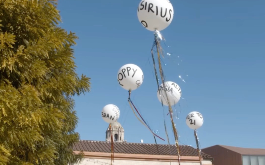 Rosemary Mayer | Connections