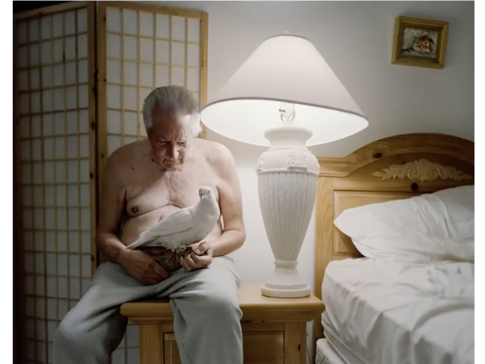 An image shows an elderly man sitting on a nightstand, looking down, and holding a large white dove.