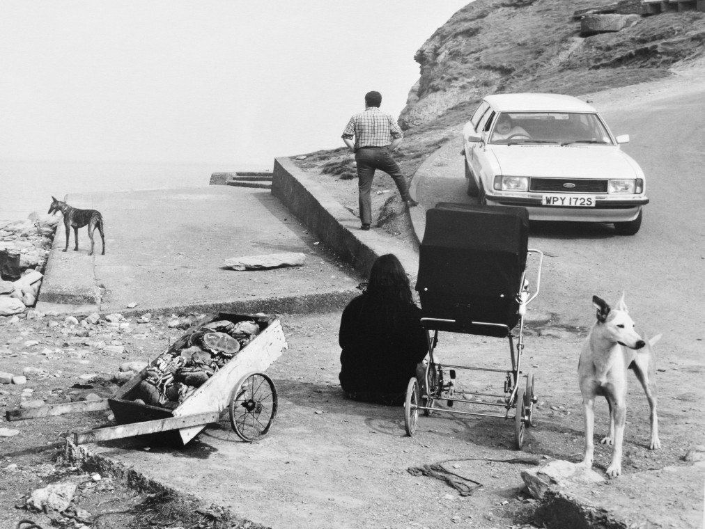 A man and woman are shown lounging in a seaside scene with their backs to the camera, while two dogs and a stroller are nearby.