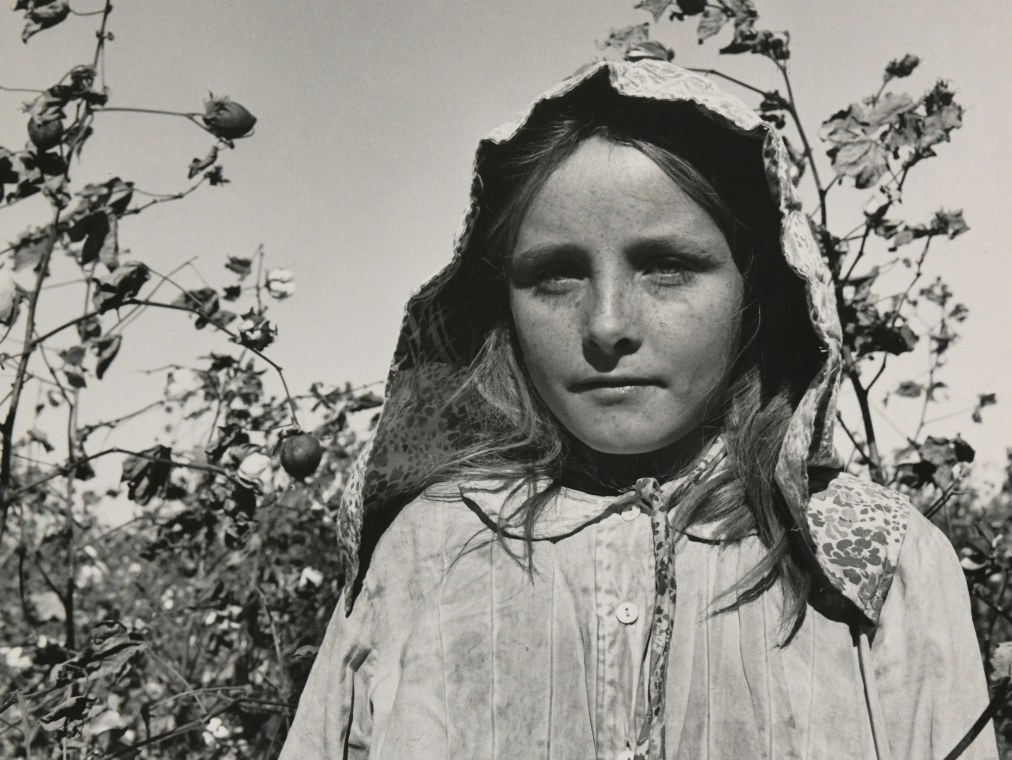 A blonde girl wearing dirty clothes and a hood over her hair stands in a cotton field.