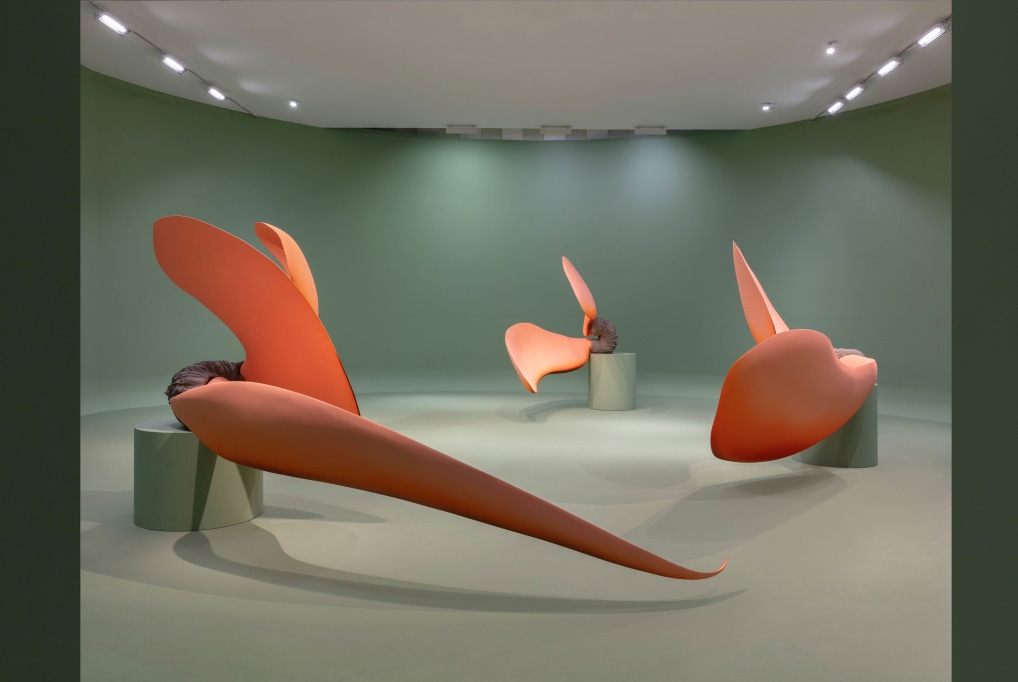 Teresa Solar Abboud: Bird Dream Machine