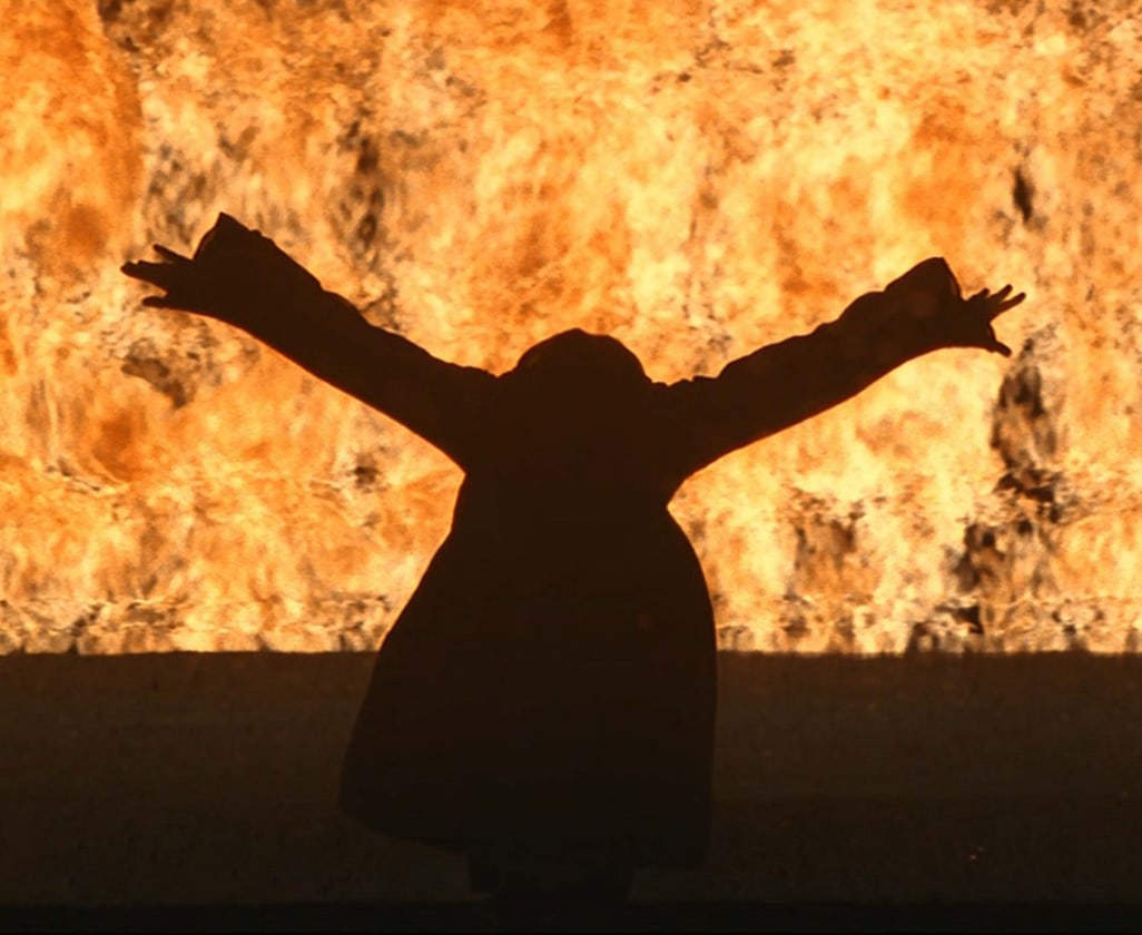 Image of Bill Viola's "Fire Woman"