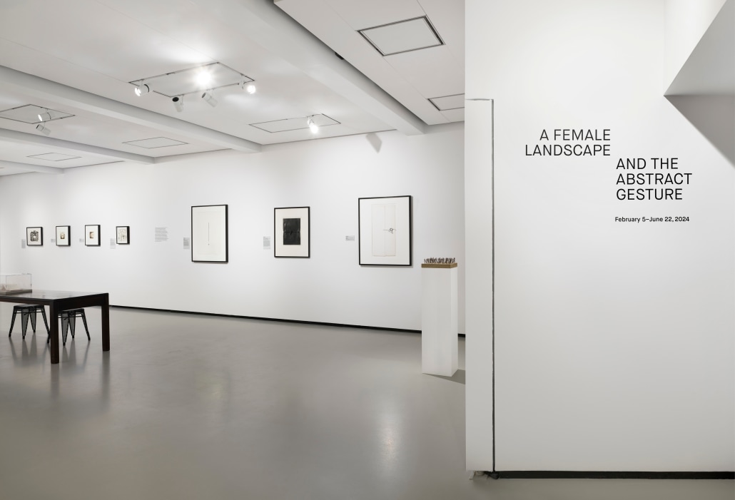 Liliana Porter in A Female Landscape and the Abstract Gesture at Harvard Radcliffe Institute