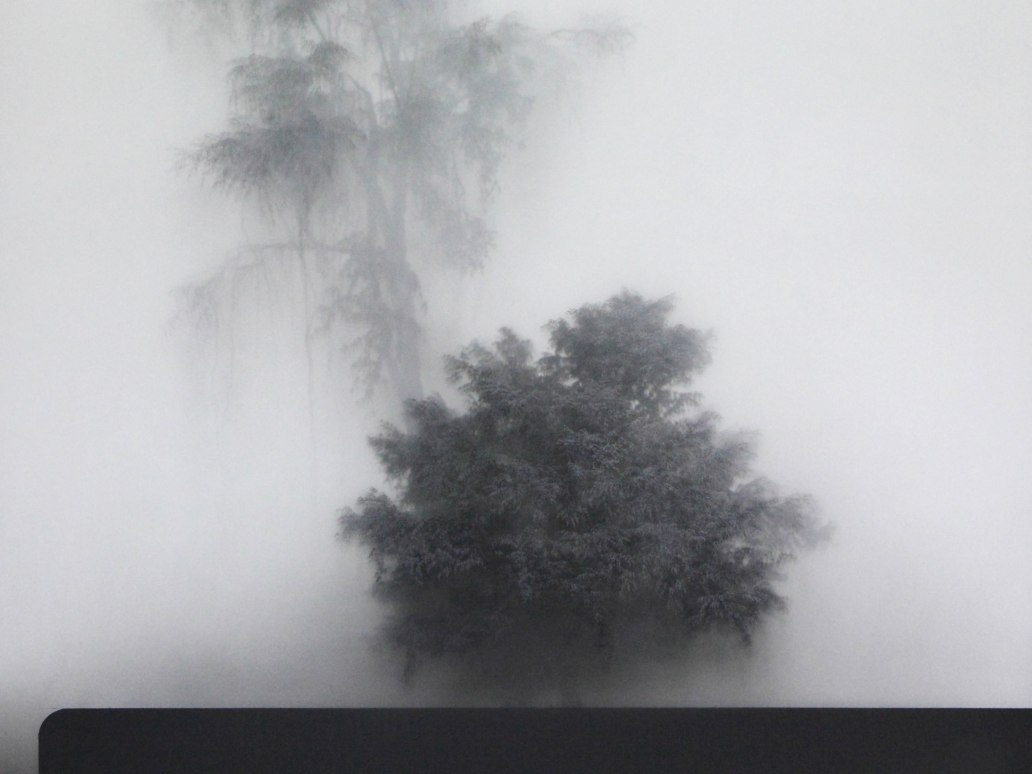 Kibong Rhee, Edge of Sensorium