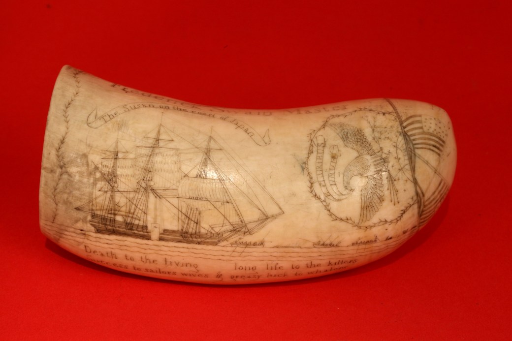 Scrimshaw