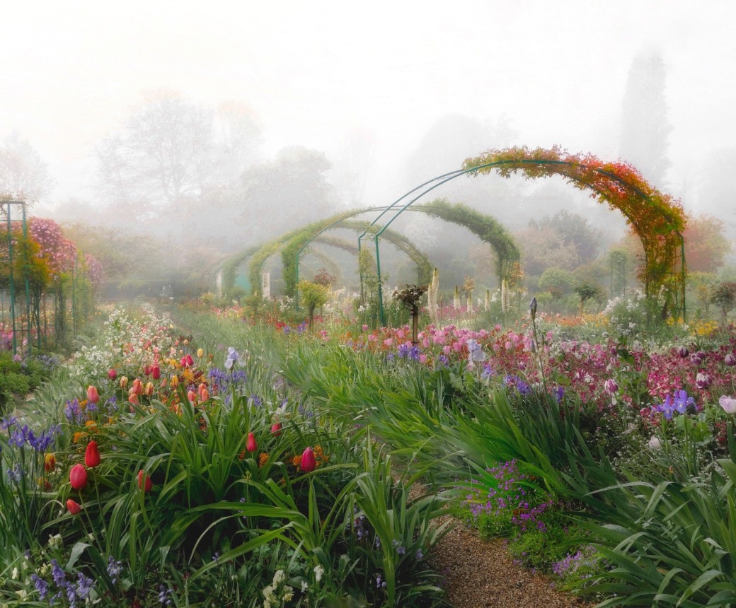 Aileen Bordman: Monet's Garden