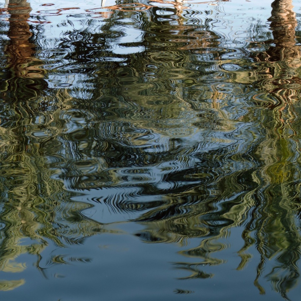 Maxi Cohen: ‘The Poetry of Water’