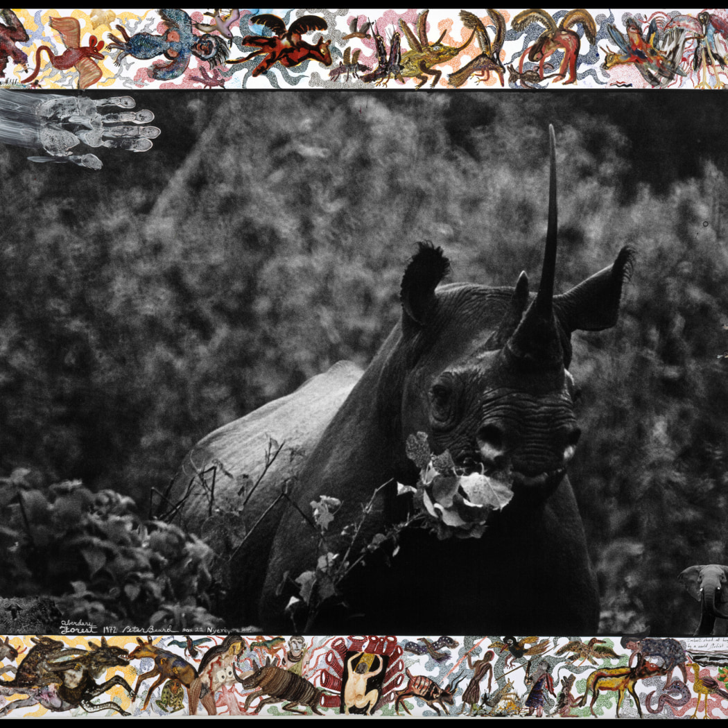 Black and white photograph of rhino with colorful illustrated border