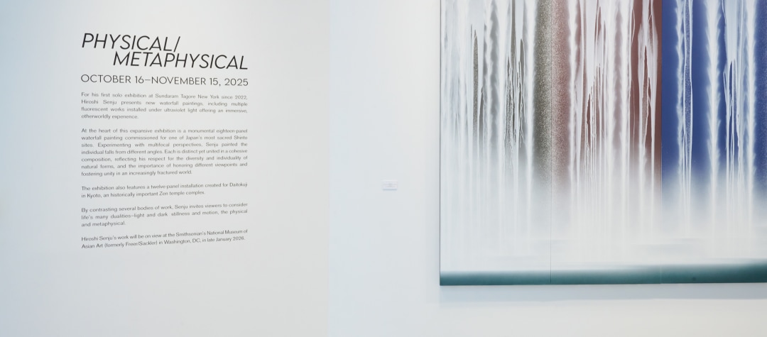 Hiroshi Senju: Physical/Metaphysical